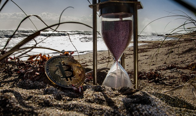Altcoin vs. Bitcoin: Which is the better investment?